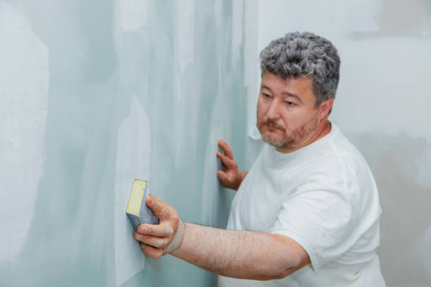 Best Wallpaper Removal and Painting  in Killian, LA